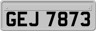 GEJ7873