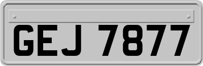 GEJ7877
