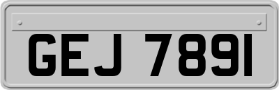 GEJ7891