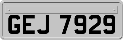 GEJ7929