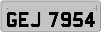 GEJ7954