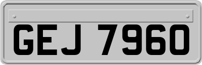 GEJ7960