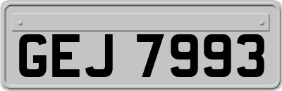 GEJ7993