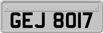 GEJ8017