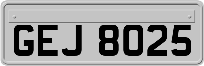 GEJ8025