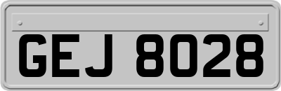 GEJ8028