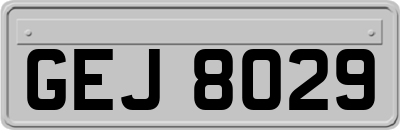 GEJ8029