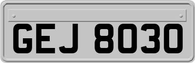 GEJ8030