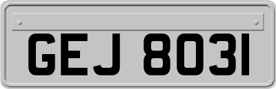 GEJ8031