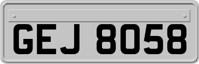 GEJ8058