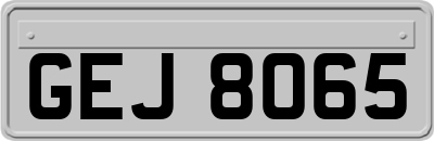 GEJ8065