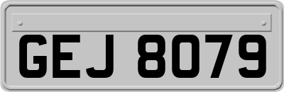 GEJ8079