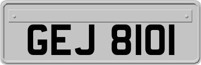 GEJ8101