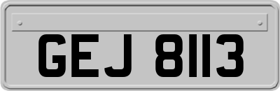 GEJ8113