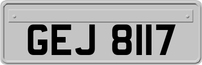 GEJ8117