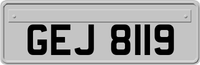 GEJ8119