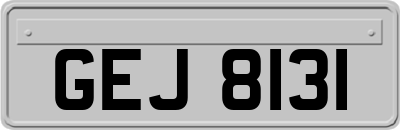 GEJ8131