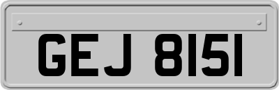 GEJ8151