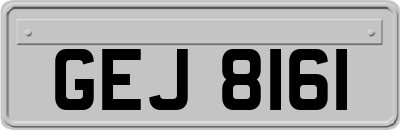GEJ8161
