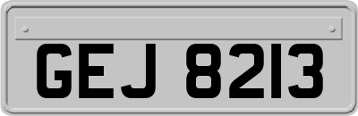 GEJ8213