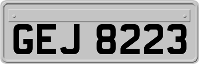 GEJ8223