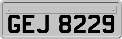 GEJ8229