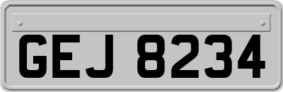 GEJ8234