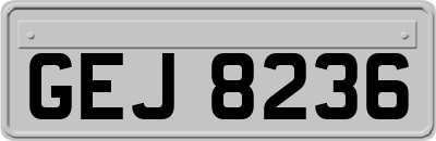 GEJ8236