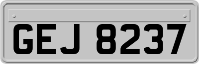GEJ8237