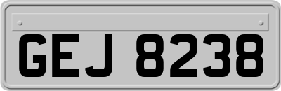 GEJ8238