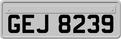 GEJ8239