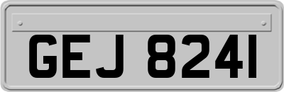 GEJ8241