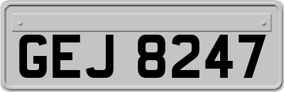 GEJ8247