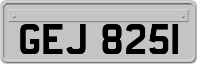 GEJ8251