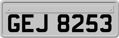 GEJ8253