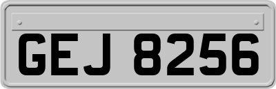 GEJ8256
