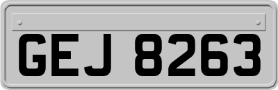 GEJ8263
