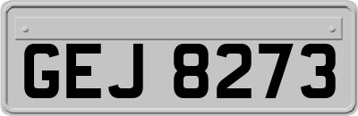 GEJ8273