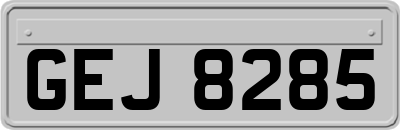GEJ8285