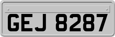 GEJ8287