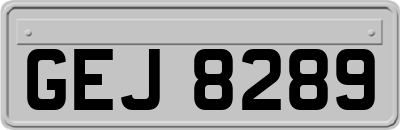 GEJ8289