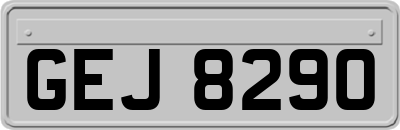 GEJ8290