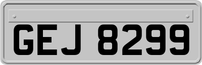 GEJ8299