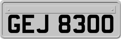 GEJ8300