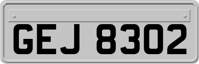 GEJ8302