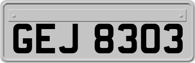 GEJ8303