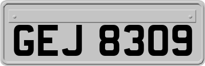 GEJ8309