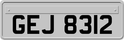 GEJ8312