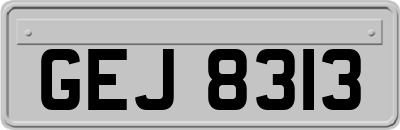 GEJ8313