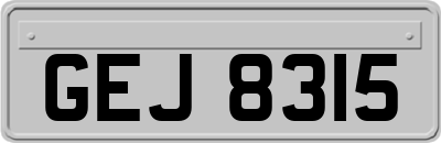 GEJ8315